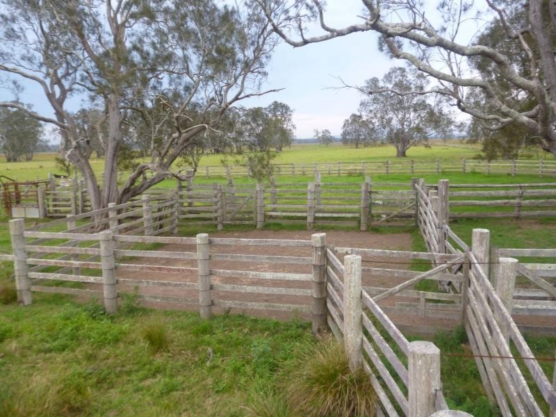 Bellimbopinni NSW 2440