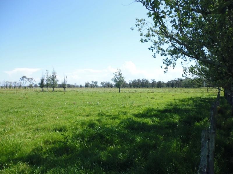 154 Left Bank Road, Kinchela NSW 2440