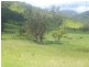Lower Creek NSW 2440