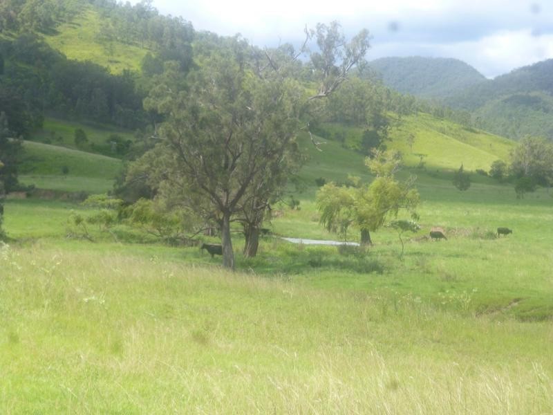 Lower Creek NSW 2440