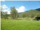 Lower Creek NSW 2440