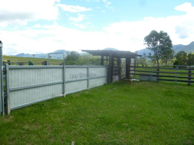 Lower Creek NSW 2440