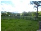 Lower Creek NSW 2440