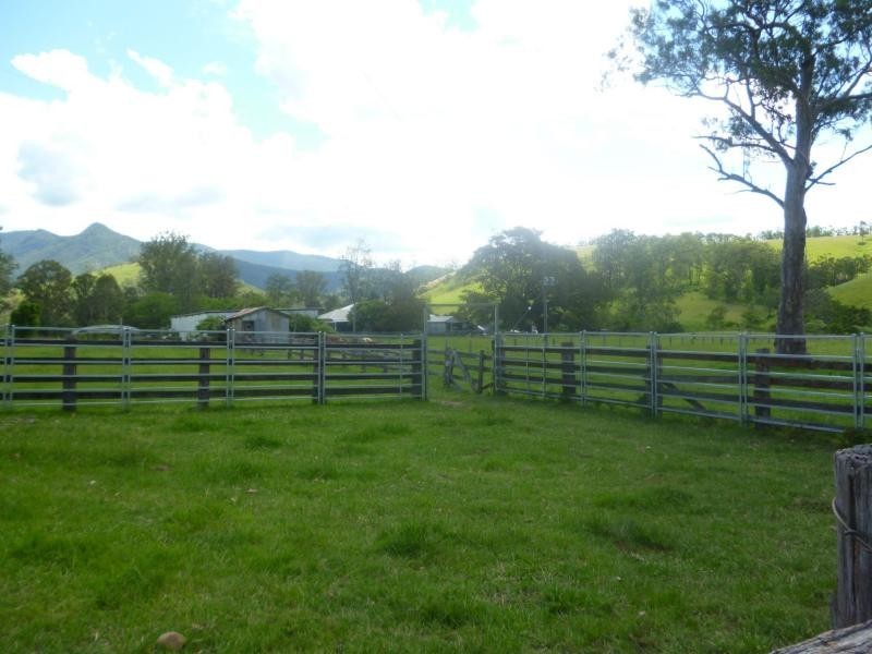 Lower Creek NSW 2440