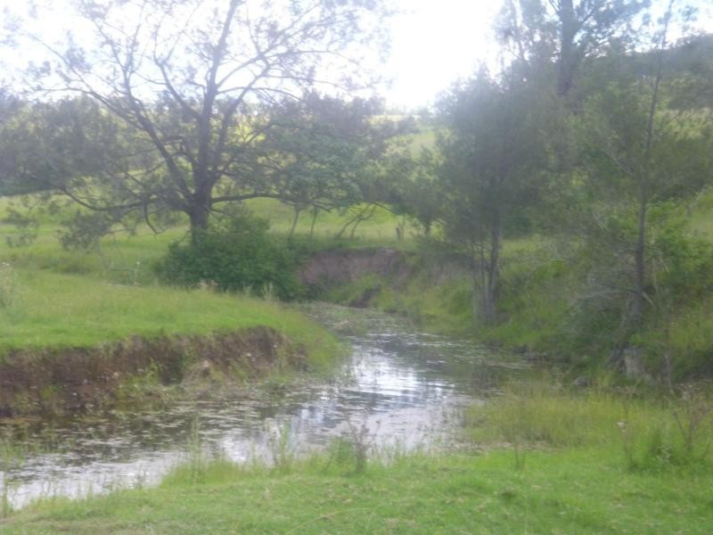 Lower Creek NSW 2440