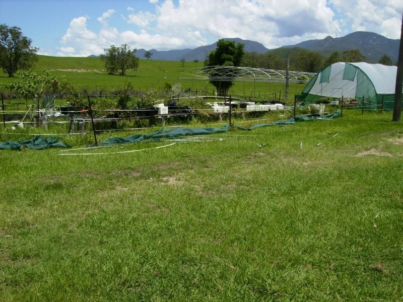 Lower Creek NSW 2440