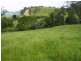 Lower Creek NSW 2440