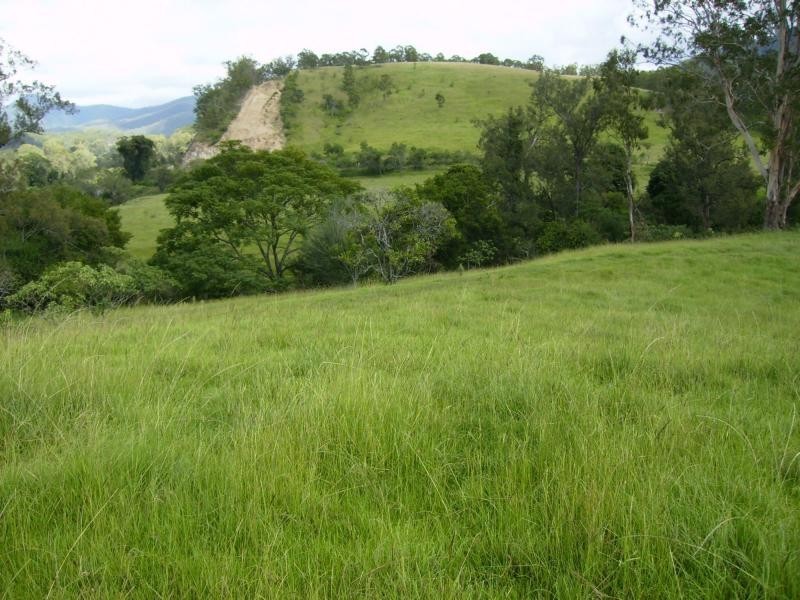 Lower Creek NSW 2440