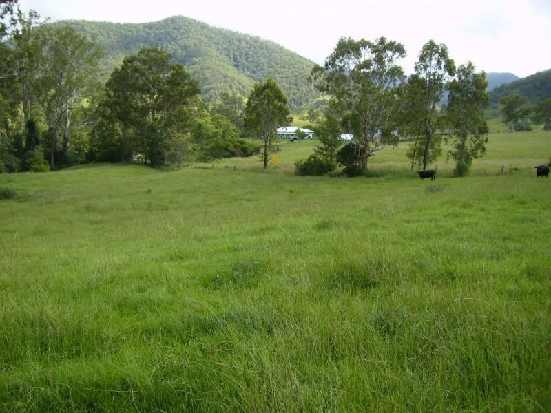Lower Creek NSW 2440