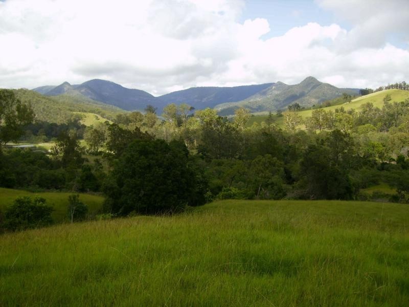 Lower Creek NSW 2440