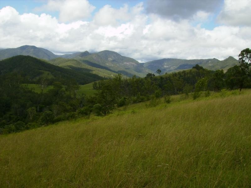 Lower Creek NSW 2440