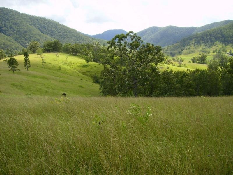 Lower Creek NSW 2440