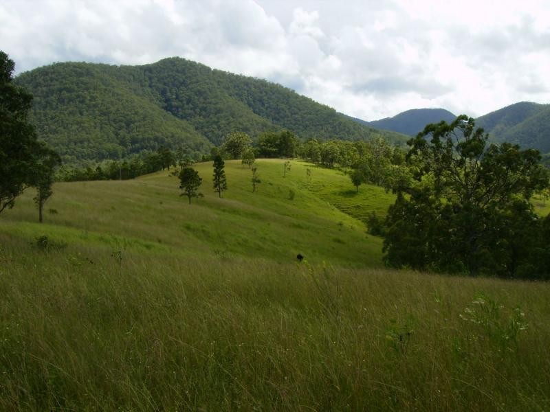 Lower Creek NSW 2440