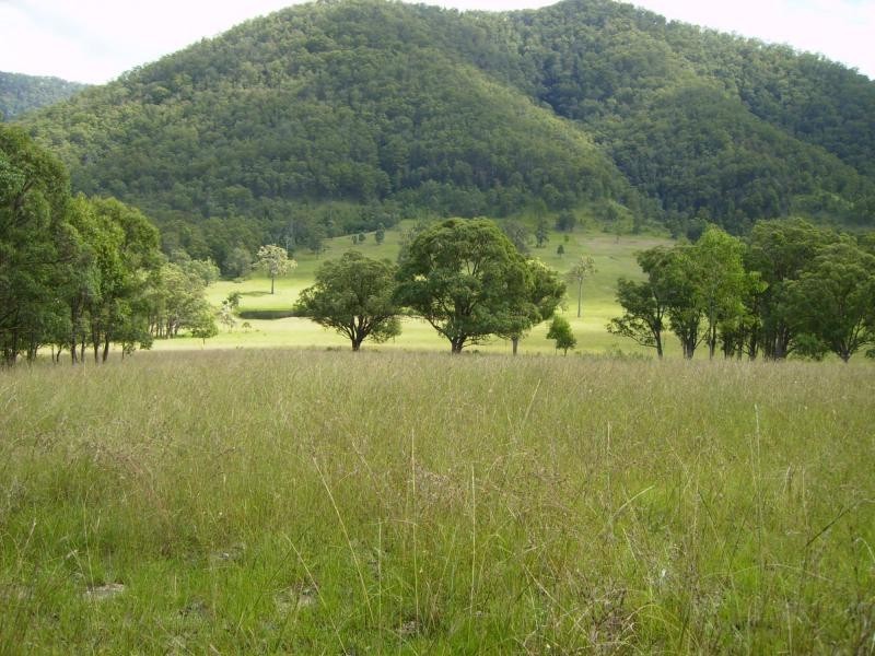 Lower Creek NSW 2440