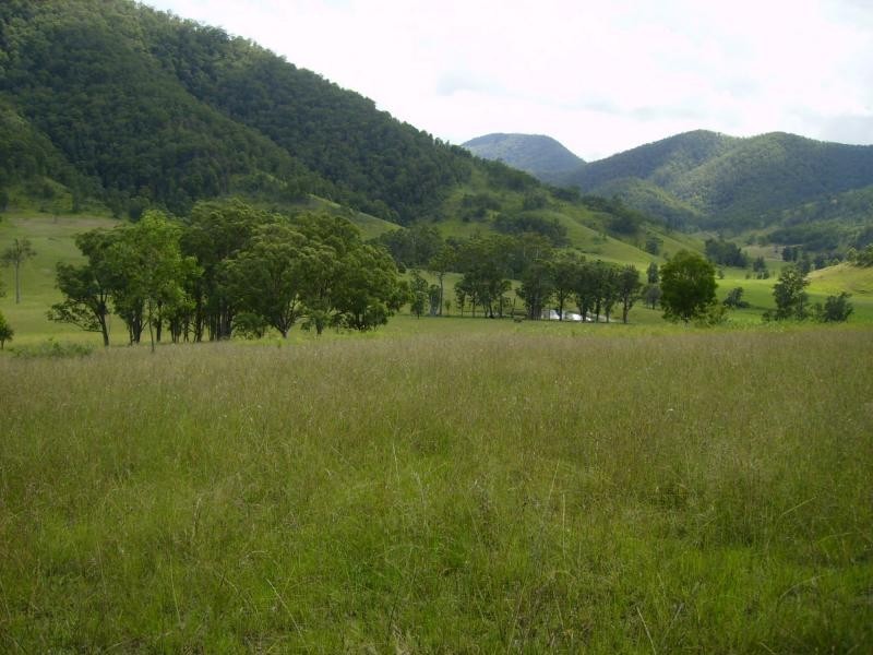 Lower Creek NSW 2440