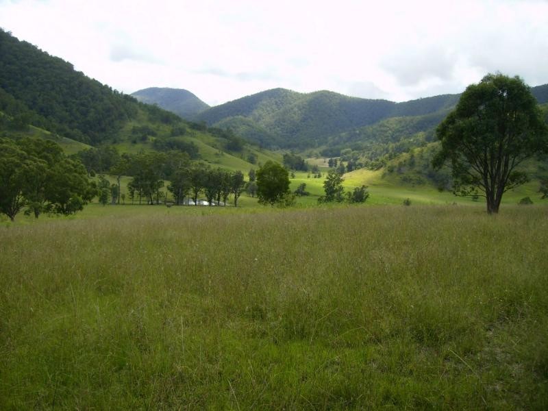 Lower Creek NSW 2440
