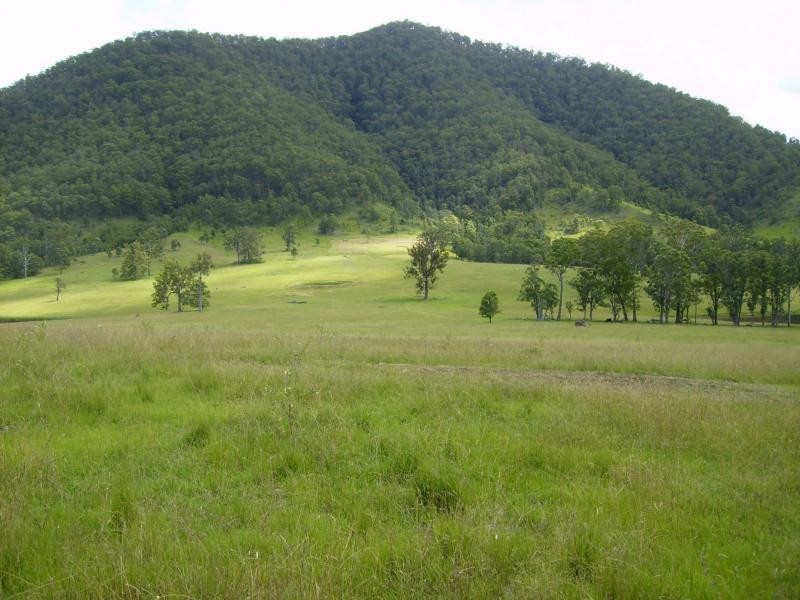 Lower Creek NSW 2440