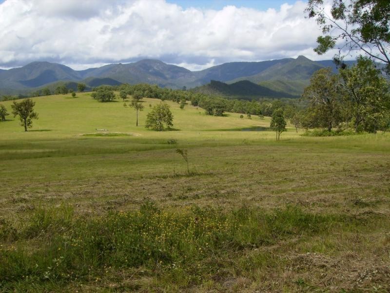 Lower Creek NSW 2440