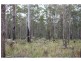 Barraganyatti NSW 2441