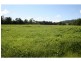 Rollands Plains NSW 2441