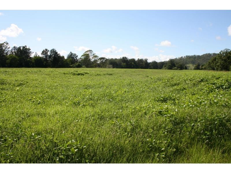 Rollands Plains NSW 2441