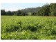 Rollands Plains NSW 2441