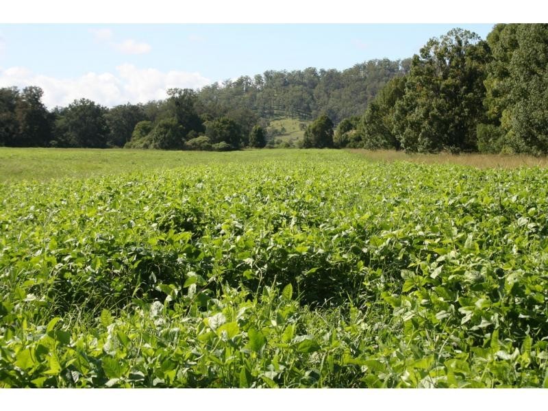 Rollands Plains NSW 2441