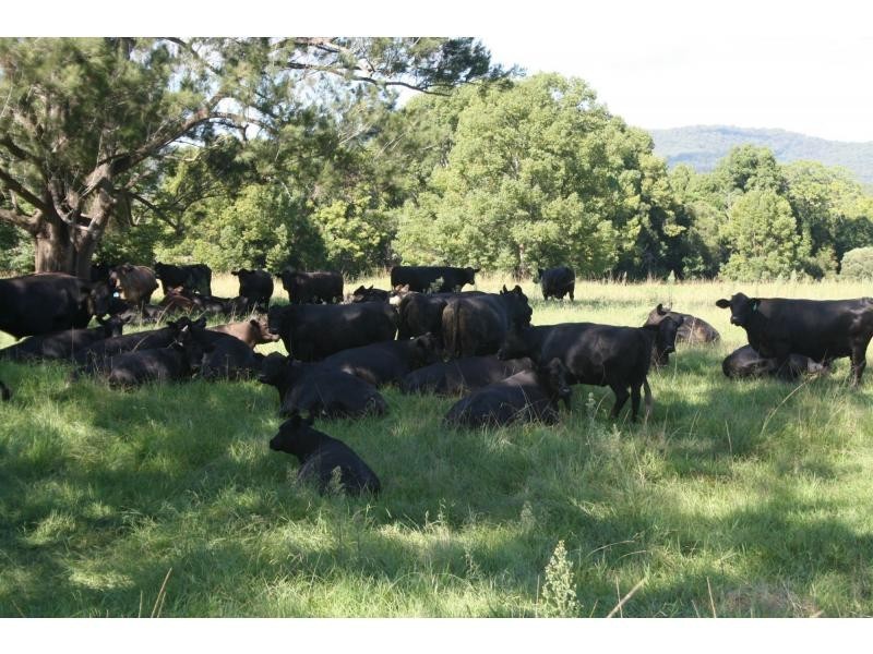 Rollands Plains NSW 2441