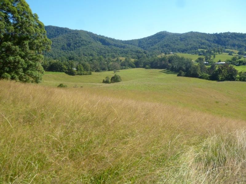 1069 South Arm Road, South Arm NSW 2449