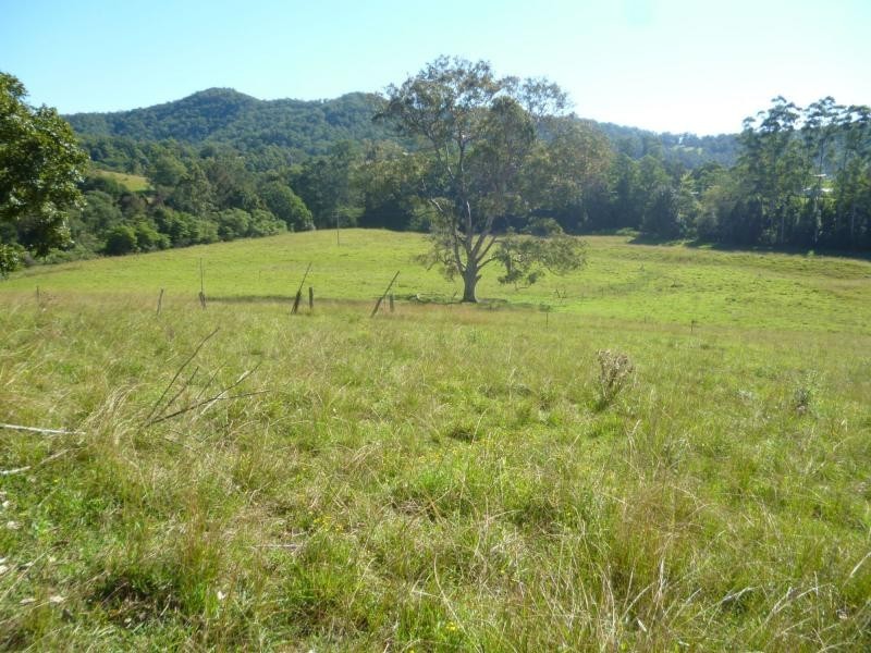 1069 South Arm Road, South Arm NSW 2449