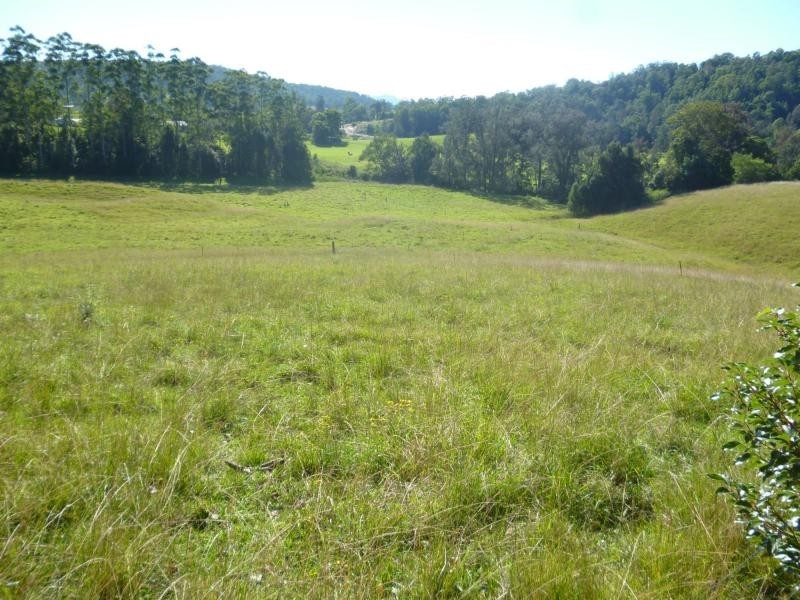 1069 South Arm Road, South Arm NSW 2449