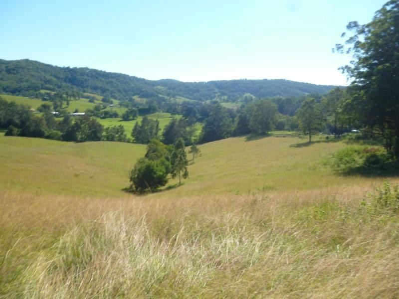 1069 South Arm Road, South Arm NSW 2449