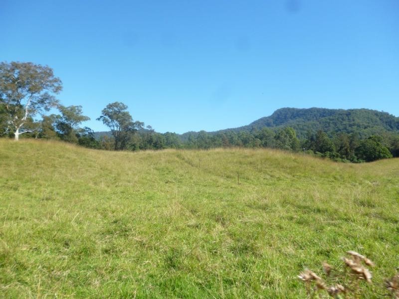 1069 South Arm Road, South Arm NSW 2449