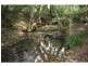 Deep Creek NSW 2440