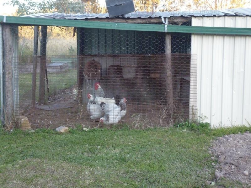 Turners Flat NSW 2440