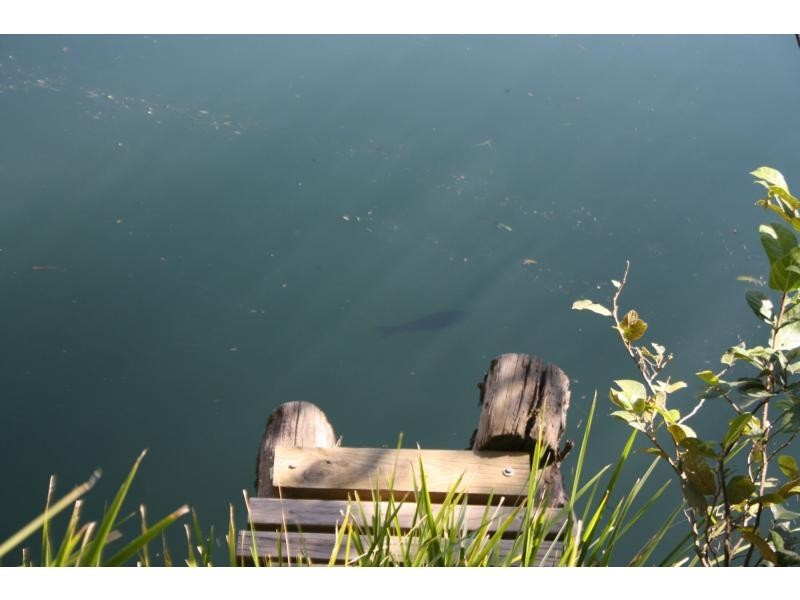 85 Wards Road, Aldavilla NSW 2440