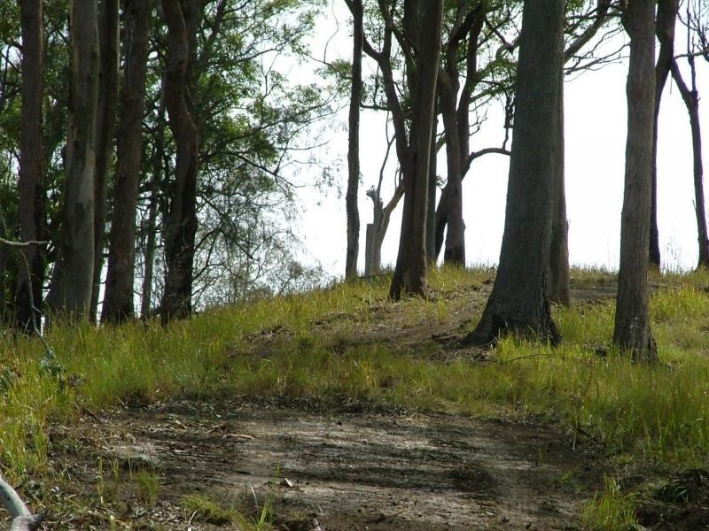 Lower Creek NSW 2440