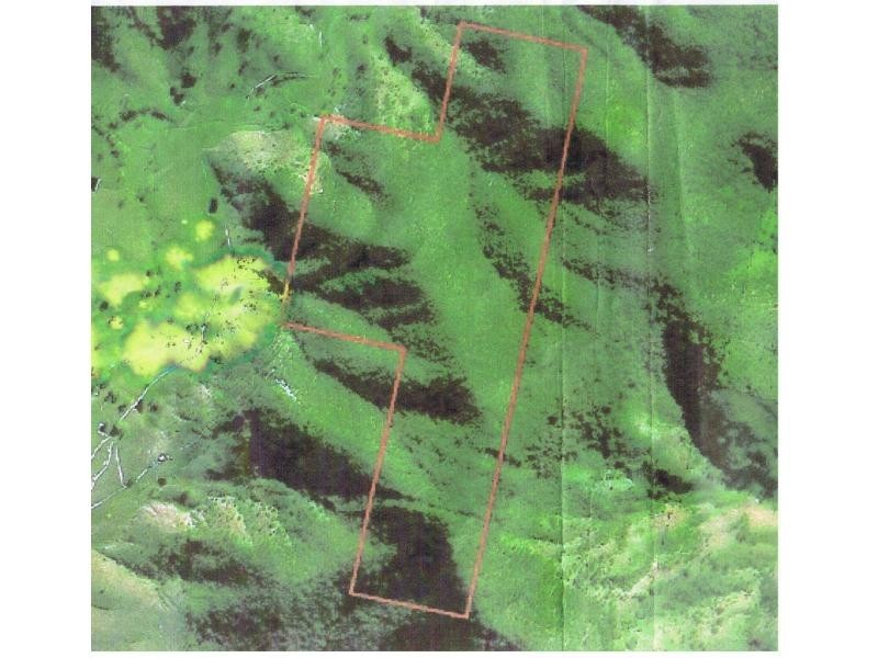 Lower Creek NSW 2440