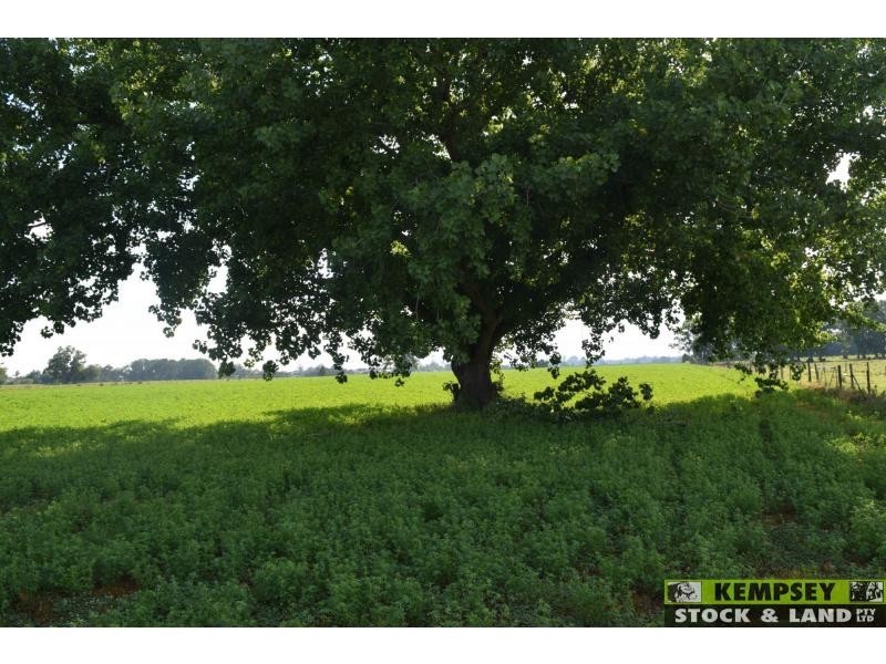 L1 Euroka Road, Euroka NSW 2440