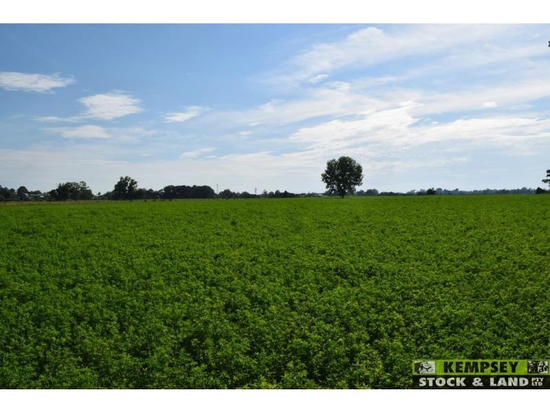 L1 Euroka Road, Euroka NSW 2440