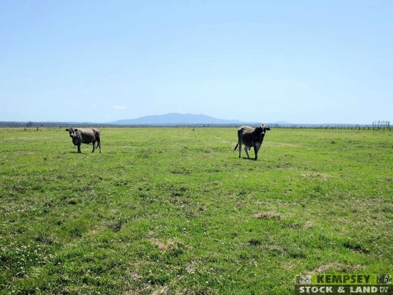 Bellimbopinni NSW 2440