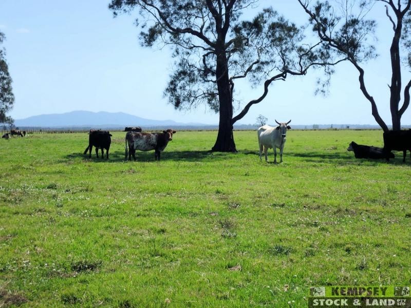 Bellimbopinni NSW 2440