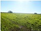 Bellimbopinni NSW 2440