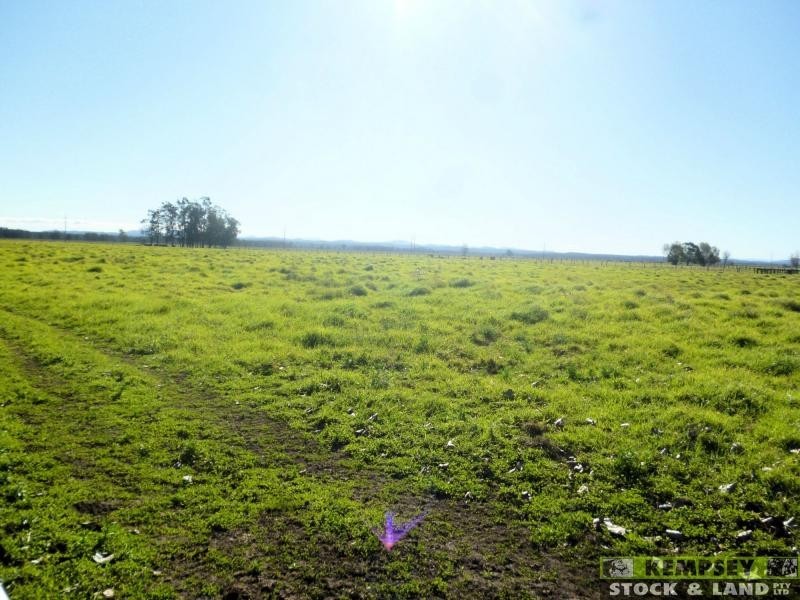 Bellimbopinni NSW 2440