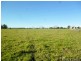 Bellimbopinni NSW 2440