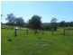 75 Davy Lane, Dondingalong NSW 2440