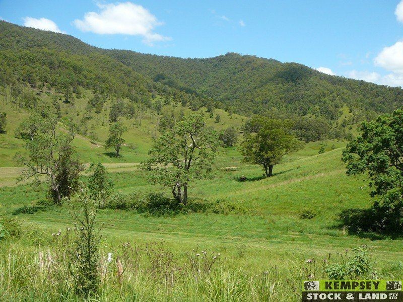 Lower Creek NSW 2440