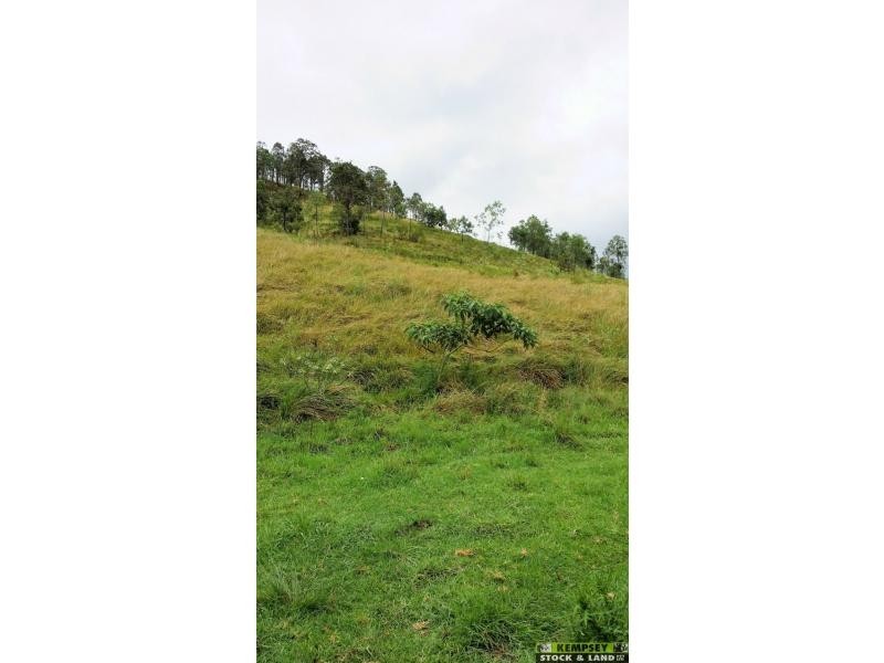 Lower Creek NSW 2440