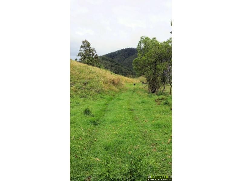 Lower Creek NSW 2440