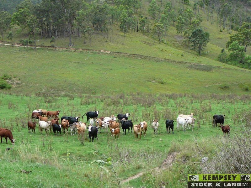 Lower Creek NSW 2440